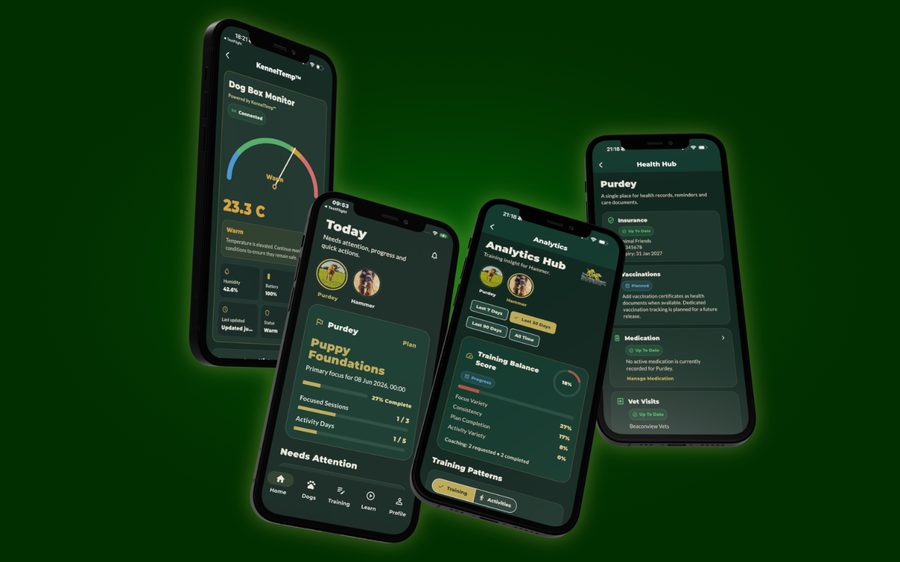 Mobile app platform project screenshot